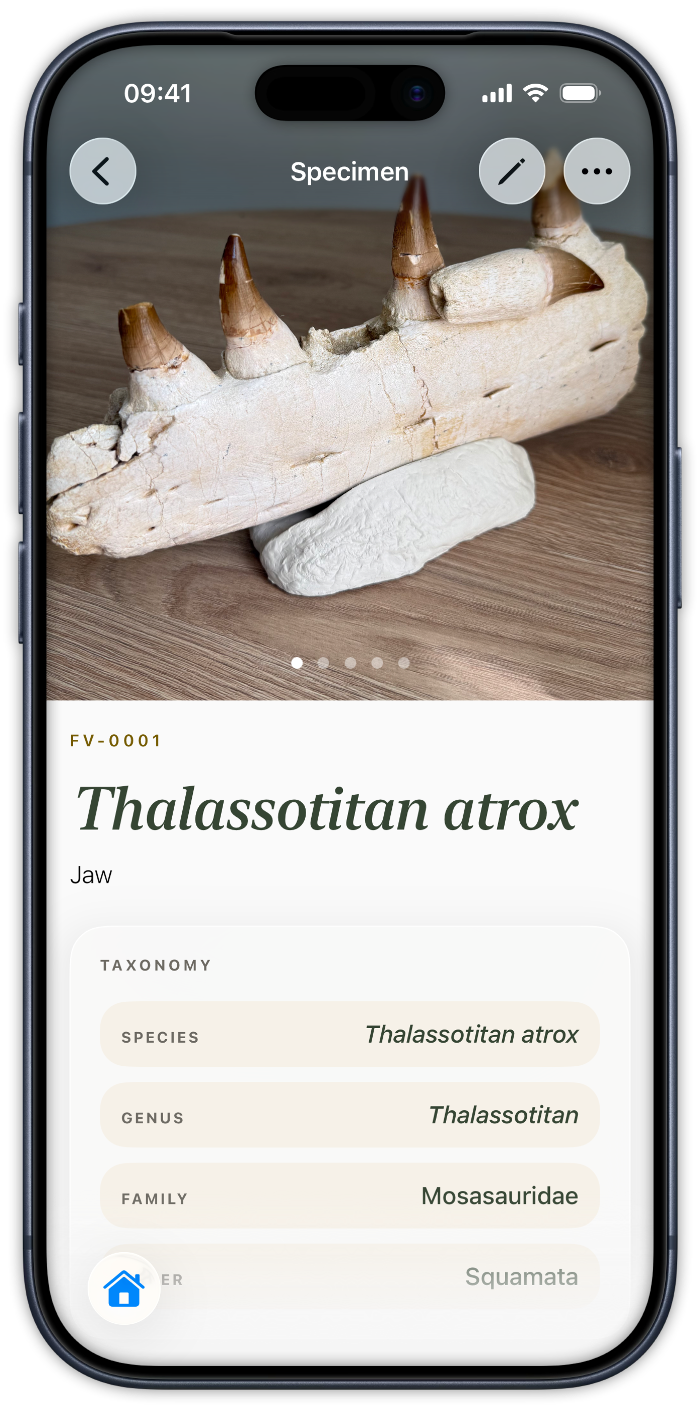 Specimen details screen with photo and full taxonomy